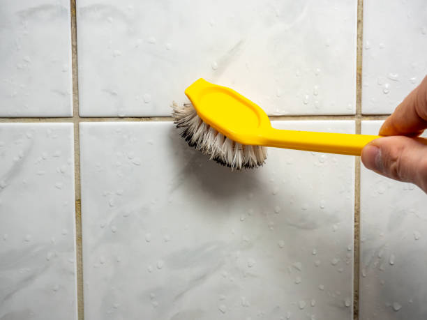 Professional Mold Remediation in Little Falls, MN