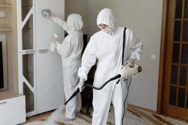 Best Industrial Mold Remediation in Little Falls, MN