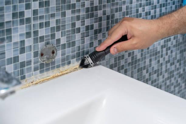 Best Mold Remediation for Specific Building Types in Little Falls, MN